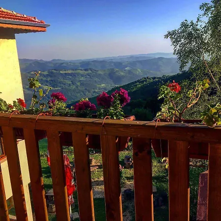 Family Panorama Hotel