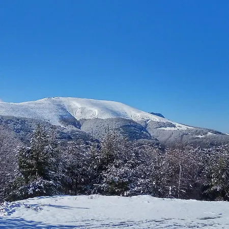 Family Panorama Čiflik