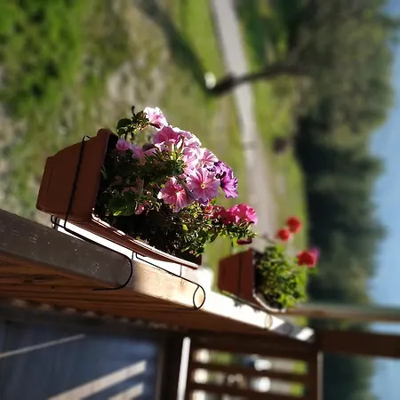 Family Panorama *